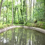 In The Heart Of The Ardennes Woods