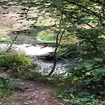 Feriehus In The Heart Of The Ardennes Woods Harre
