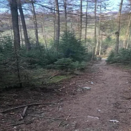 Dom wakacyjny In The Heart Of The Ardennes Woods Harre