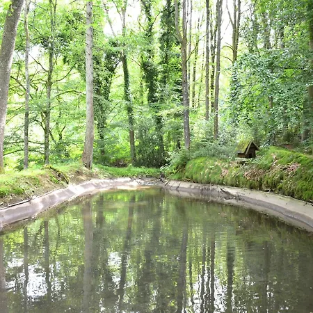 In The Heart Of The Ardennes Woods