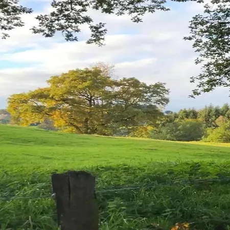 Nyaraló In The Heart Of The Ardennes Woods *