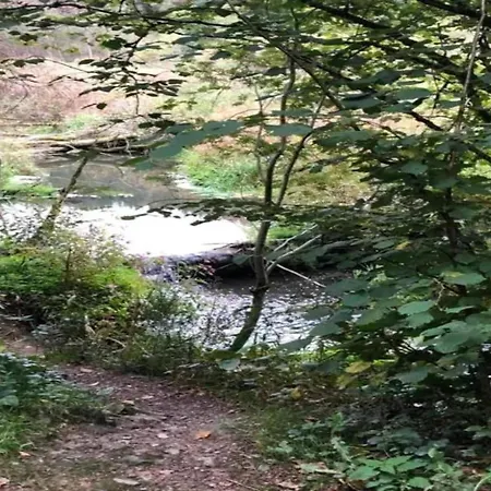 Dom wakacyjny In The Heart Of The Ardennes Woods Harre