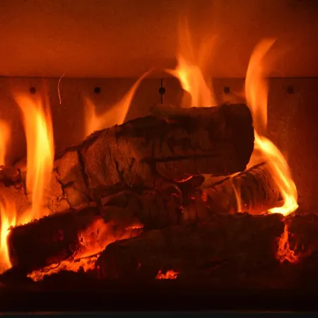 In The Heart Of The Ardennes Woods * Harre