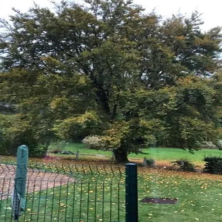 In The Heart Of The Ardennes Woods