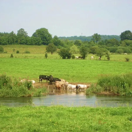 Dom wakacyjny In The Heart Of The Ardennes Woods *